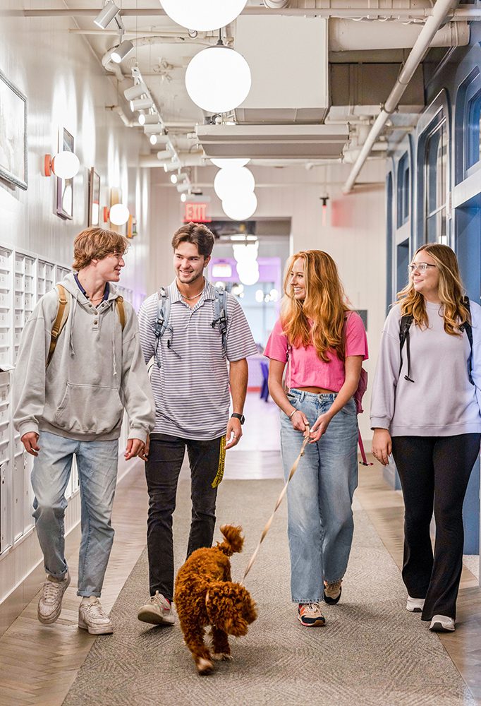 a group of friends walking a dog