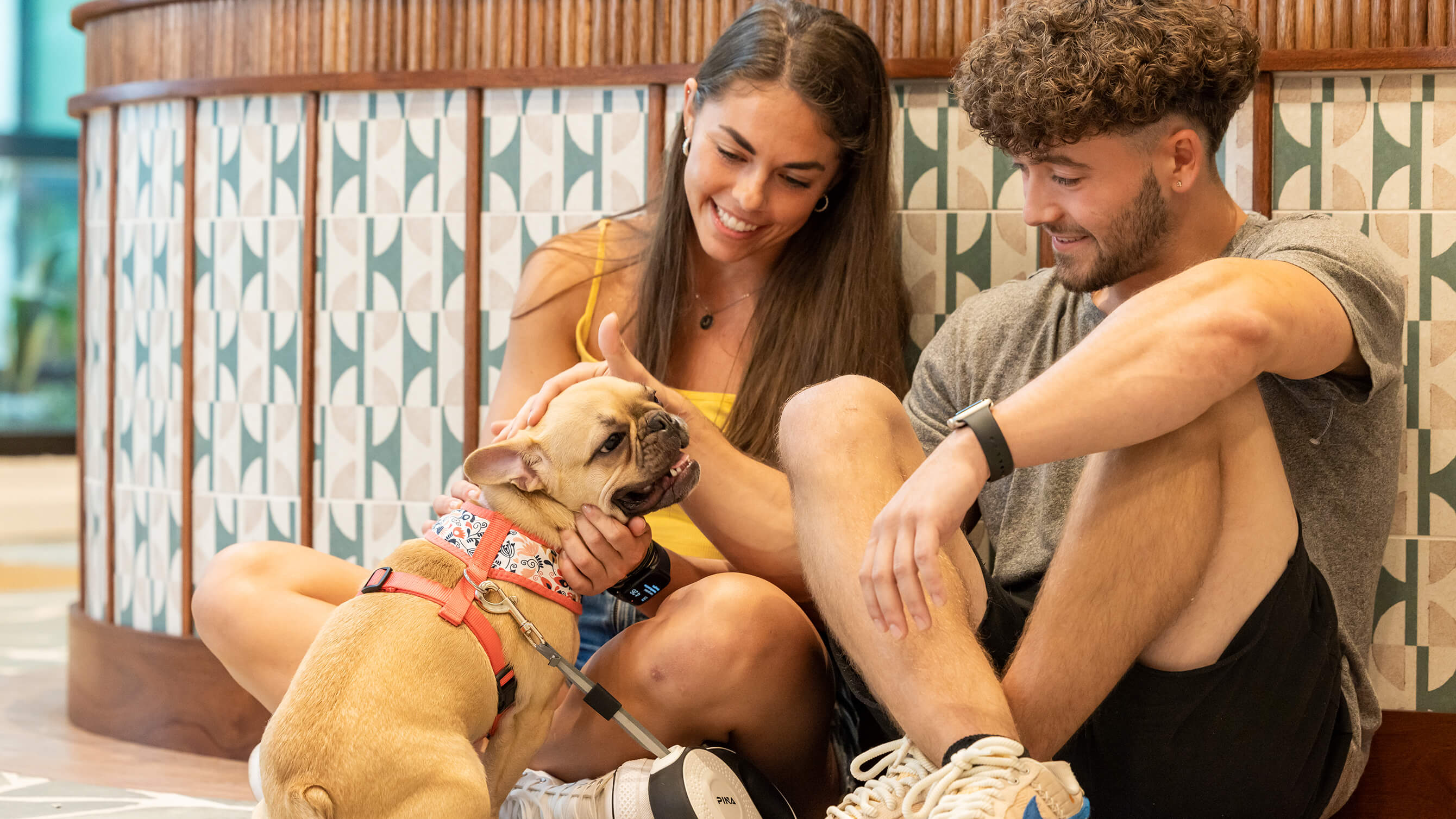 two friends petting a dog